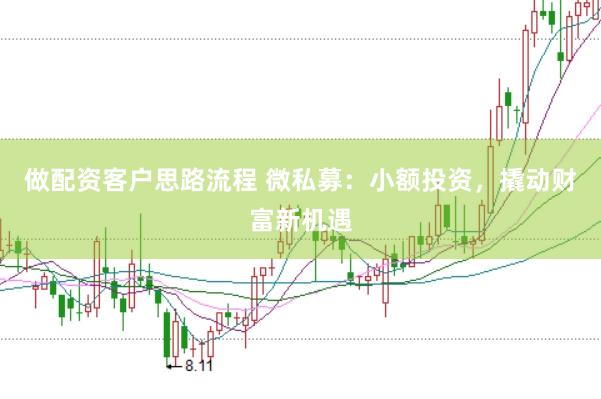 做配资客户思路流程 微私募：小额投资，撬动财富新机遇