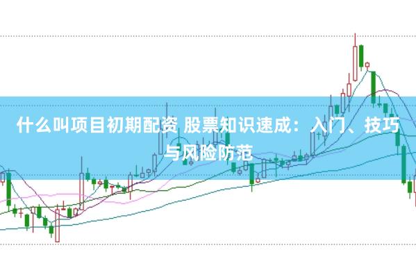 什么叫项目初期配资 股票知识速成：入门、技巧与风险防范