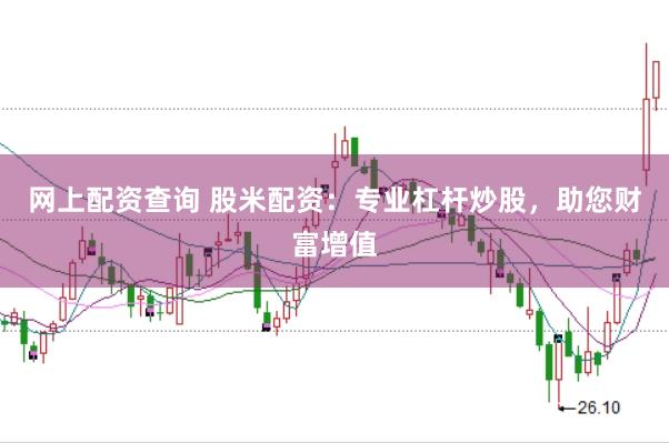 网上配资查询 股米配资：专业杠杆炒股，助您财富增值