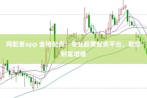 网配查app 金猪配资：专业股票配资平台，助您财富增值