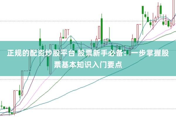 正规的配资炒股平台 股票新手必备：一步掌握股票基本知识入门要点