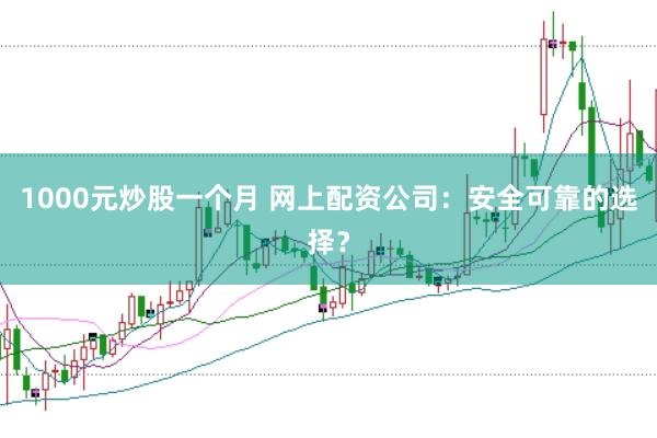 1000元炒股一个月 网上配资公司：安全可靠的选择？