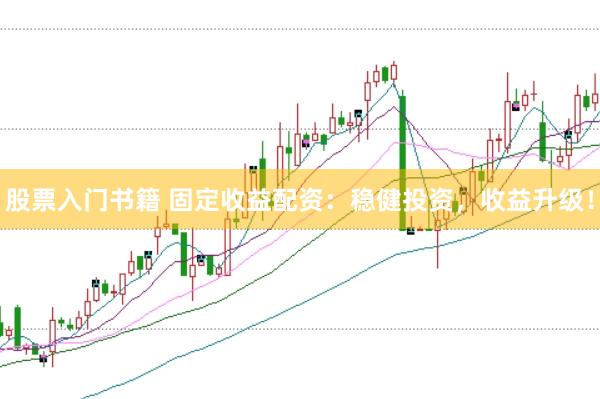 股票入门书籍 固定收益配资：稳健投资，收益升级！