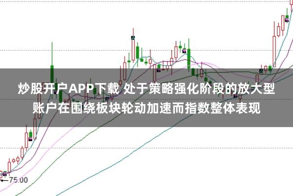 炒股开户APP下载 处于策略强化阶段的放大型账户在围绕板块轮动加速而指数整体表现