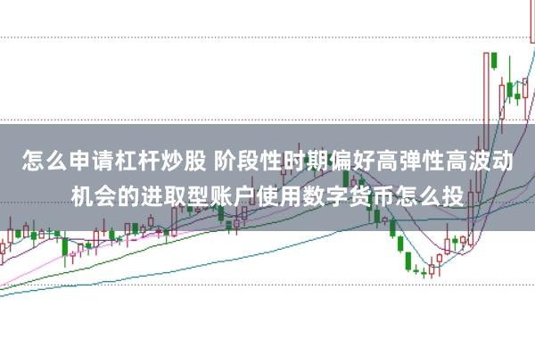怎么申请杠杆炒股 阶段性时期偏好高弹性高波动机会的进取型账户使用数字货币怎么投