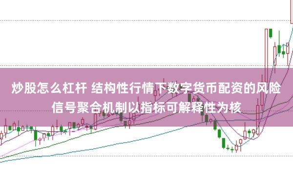 炒股怎么杠杆 结构性行情下数字货币配资的风险信号聚合机制以指标可解释性为核