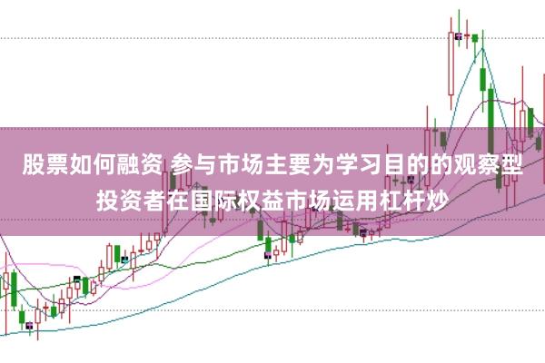 股票如何融资 参与市场主要为学习目的的观察型投资者在国际权益市场运用杠杆炒