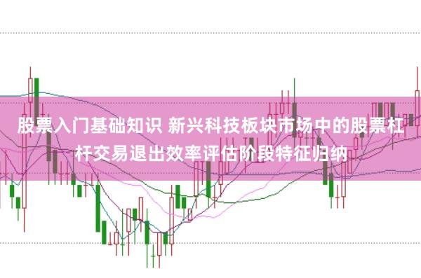 股票入门基础知识 新兴科技板块市场中的股票杠杆交易退出效率评估阶段特征归纳