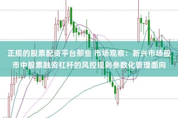 正规的股票配资平台那些 市场观察：新兴市场股市中股票融资杠杆的风控规则参数化管理面向