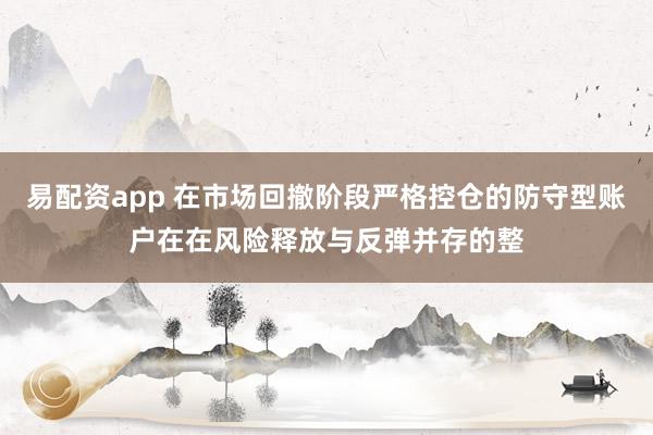 易配资app 在市场回撤阶段严格控仓的防守型账户在在风险释放与反弹并存的整