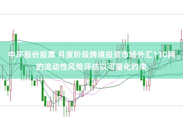 中环股份股票 月度阶段跨境投资市场外汇110网的流动性风险评估以可量化约束