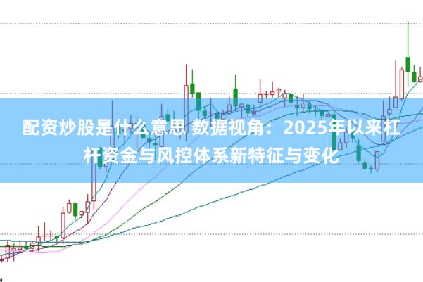配资炒股是什么意思 数据视角：2025年以来杠杆资金与风控体系新特征与变化