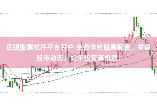 正规股票杠杆平台开户 免费体验股票配资，掌握股市动态，蛇年投资新机遇！