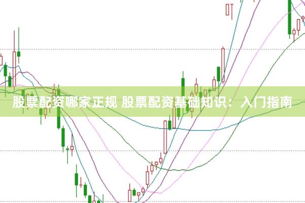 股票配资哪家正规 股票配资基础知识：入门指南
