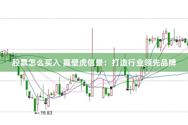 股票怎么买入 赢壁虎信誉:打造行业领先品牌
