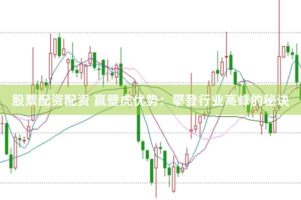 股票配资配资 赢壁虎优势:攀登行业高峰的秘诀