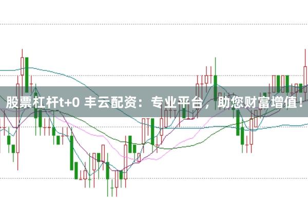 股票杠杆t+0 丰云配资：专业平台，助您财富增值！