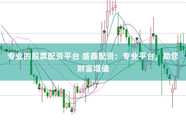专业的股票配资平台 盛鑫配资：专业平台，助您财富增值